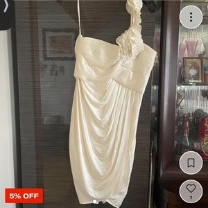 NWT BCBG Dress